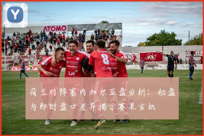 荷兰对阵塞内加尔亚盘分析:初盘与即时盘口差异揭示赛果玄机