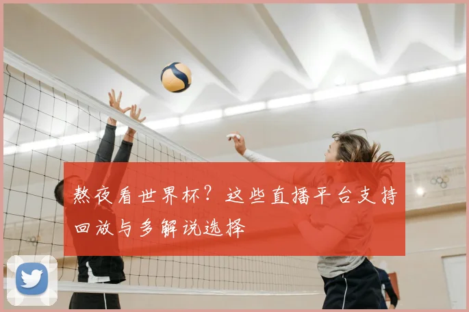 熬夜看世界杯？这些直播平台支持回放与多解说选择