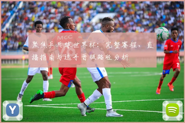 聚焦乒乓球世界杯：完整赛程、直播指南与选手晋级路径分析