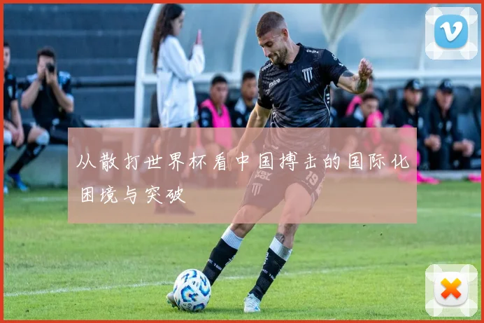 从散打世界杯看中国搏击的国际化困境与突破