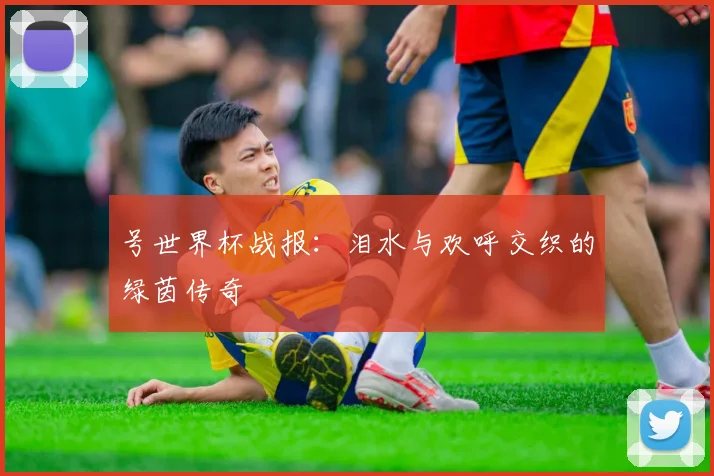 号世界杯战报：泪水与欢呼交织的绿茵传奇