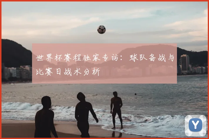 世界杯赛程独家专访：球队备战与比赛日战术分析