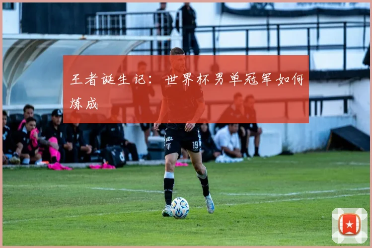 王者诞生记:世界杯男单冠军如何炼成