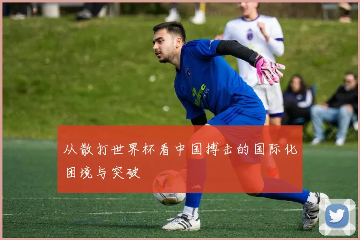 从散打世界杯看中国搏击的国际化困境与突破