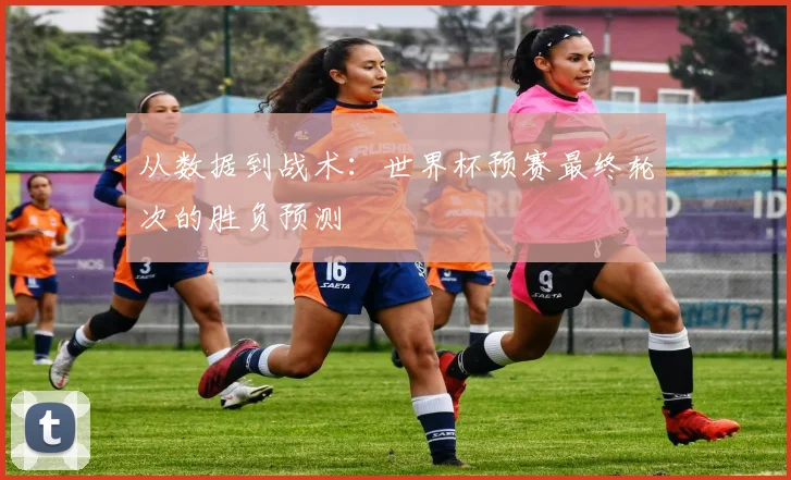 从数据到战术：世界杯预赛最终轮次的胜负预测