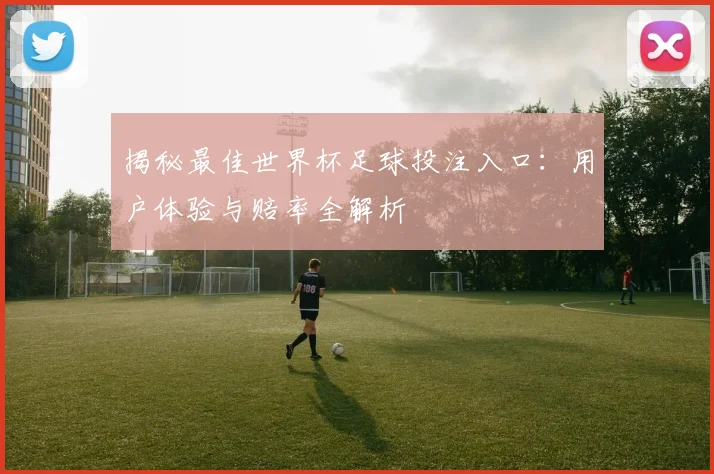 揭秘最佳世界杯足球投注入口：用户体验与赔率全解析