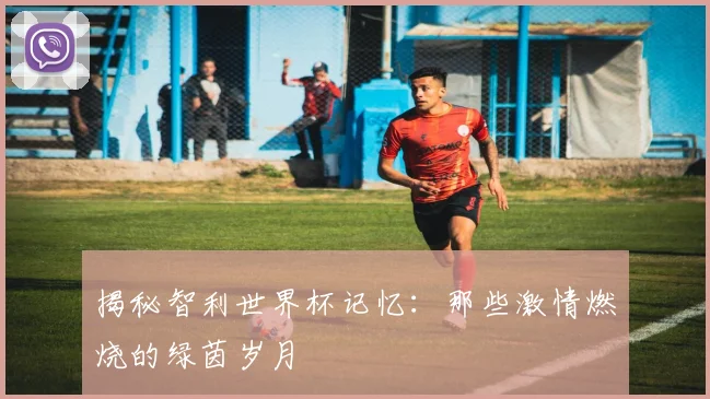 揭秘智利世界杯记忆：那些激情燃烧的绿茵岁月